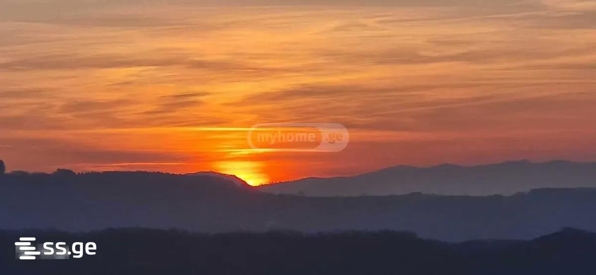 იყიდება მიწა ბეტანიაში view 3