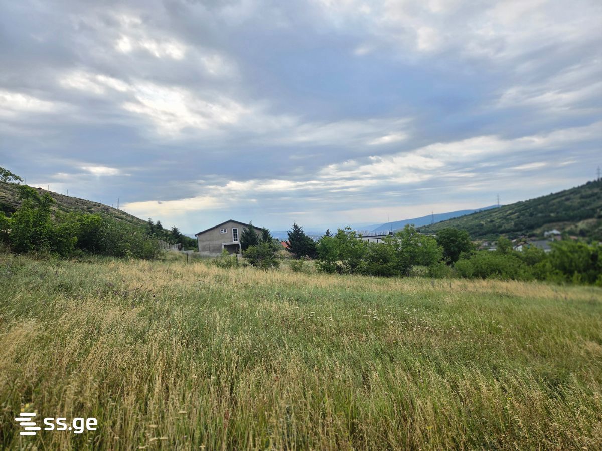Land For Sale. Tsodoreti view 6