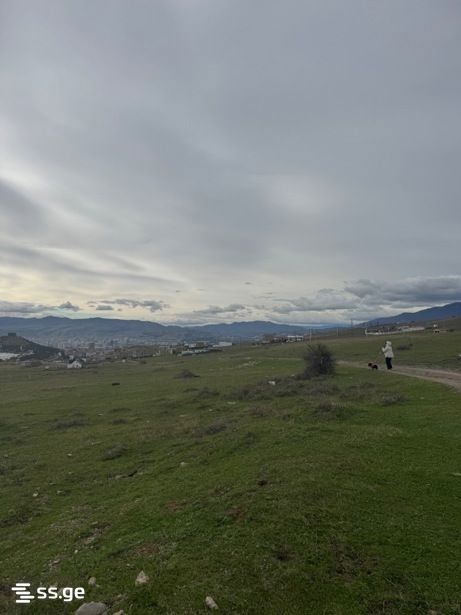 Land For Sale. Tbilisi Sea view 5