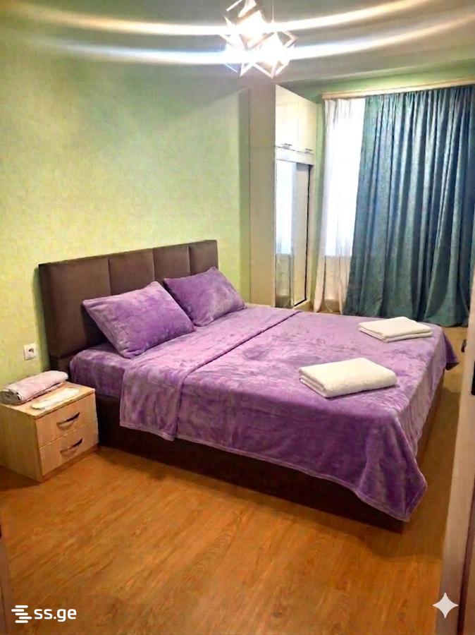 2 room Flat Daily rent. Didi digomi - Widok 2