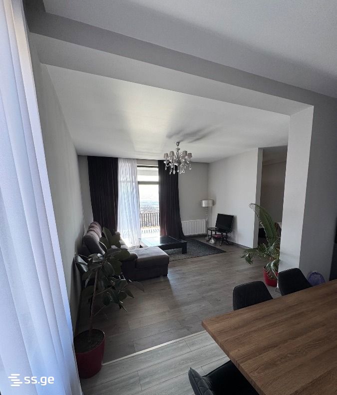 5 Room Private House For Rent. Mtskheta view 5