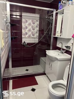 4 Room Private House For Rent. Chugureti view 9