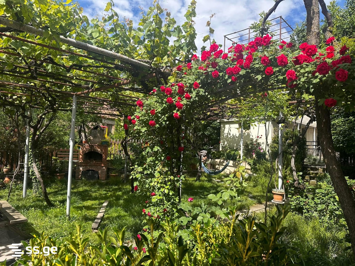 1 Room Flat For Rent. Mtskheta view 7