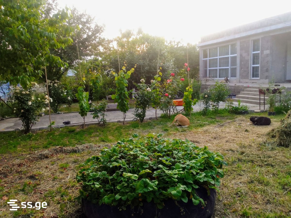 Продажа Summer Cottage в сагурамо view 9