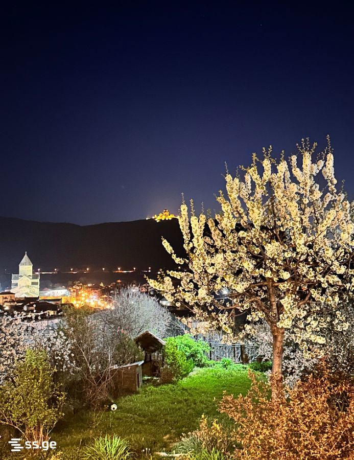 4 Room Private House For Rent. Mtskheta view 9