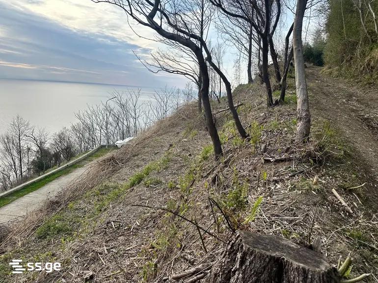 Land For Sale. Gonio view 1