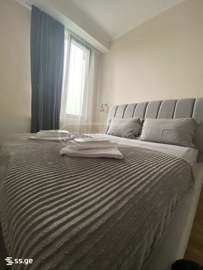 2 Room Flat Daily Rent. Avlabari view 4