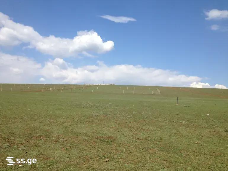 Land For Sale. Tbilisi Sea view 3