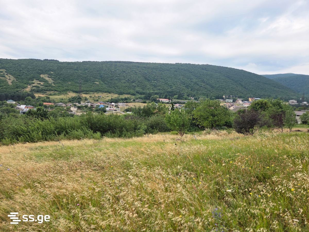 Land For Sale. Tsodoreti view 1