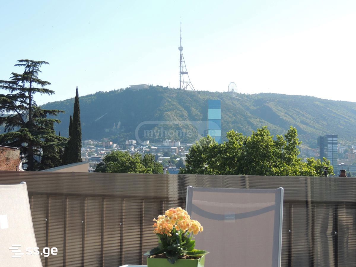 3 Room Private House For Rent. Chugureti view 8