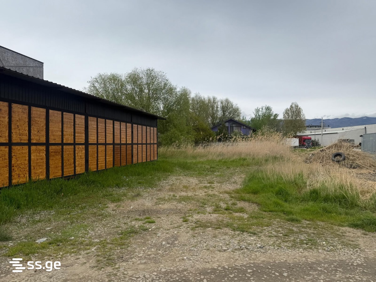 Land For Sale. Didi digomi - Widok 3