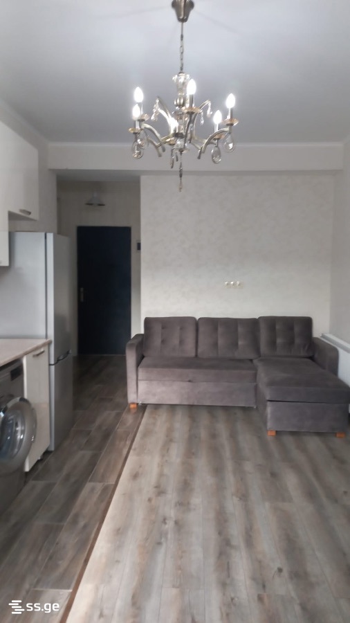 3 Room Flat For Rent. Rustavi view 6