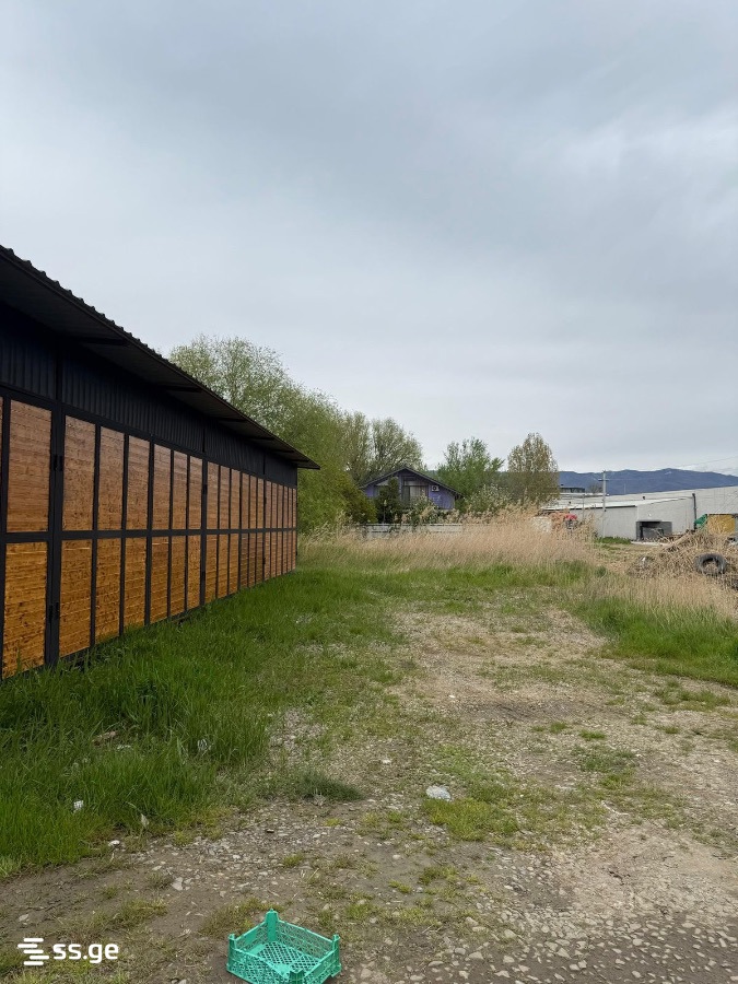 Land For Sale. Didi digomi - Widok 2
