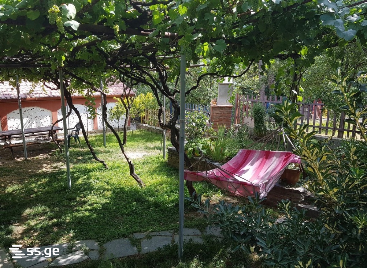 1 Room Flat For Rent. Mtskheta view 10
