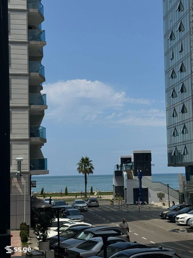 1 room Flat For Rent. Batumi - Ansicht 6