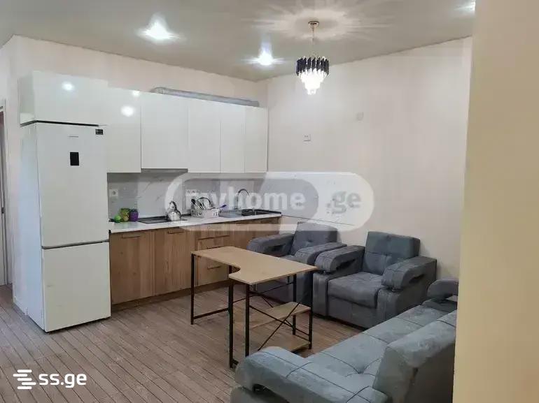 3 Room Private House For Rent. Samgori view 1