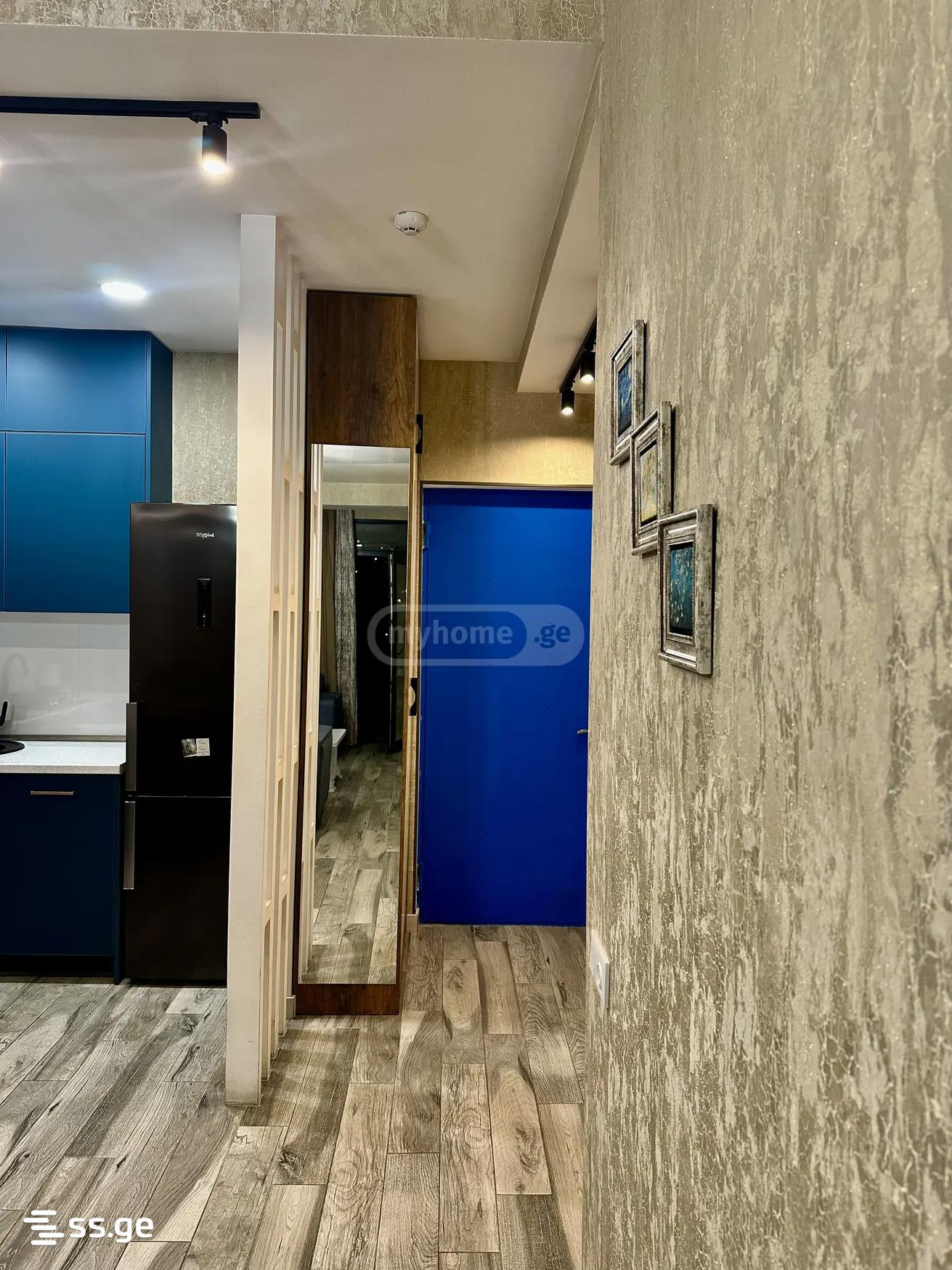 2 Room Flat Daily Rent. Nadzaladevi view 7