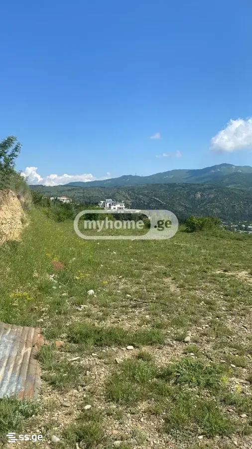 Land For Sale. Didi Digomi view 6