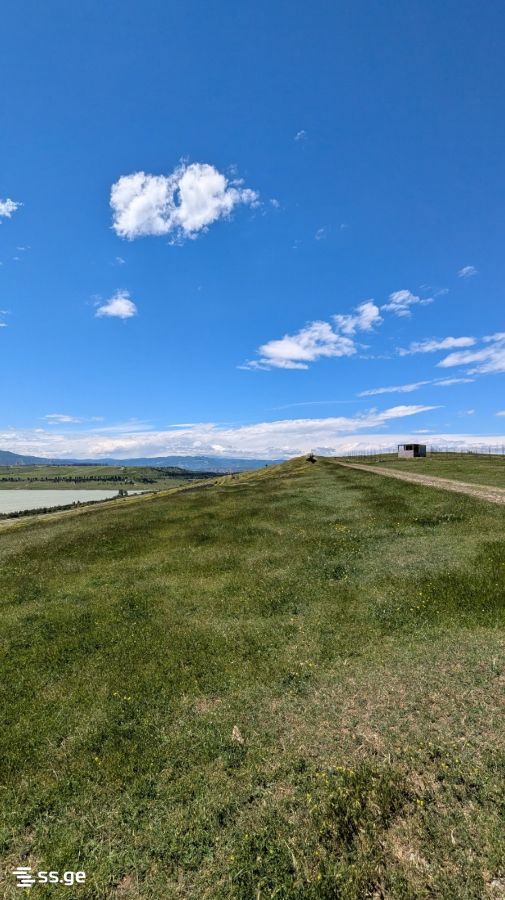 Land For Sale. Tbilisi Sea view 2