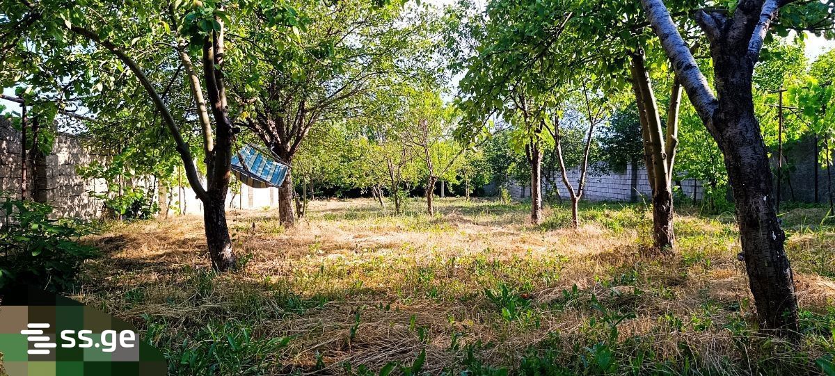 იყიდება 3-ოთახი Summer Cottage view 30