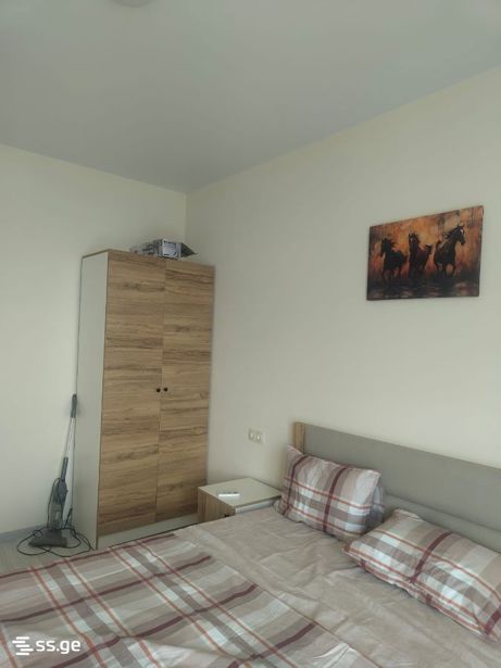https://static.ss.ge/20260717/16_33d2a032-8ca5-4ef4-abab-af62e993bb3f_Thumb.jpg