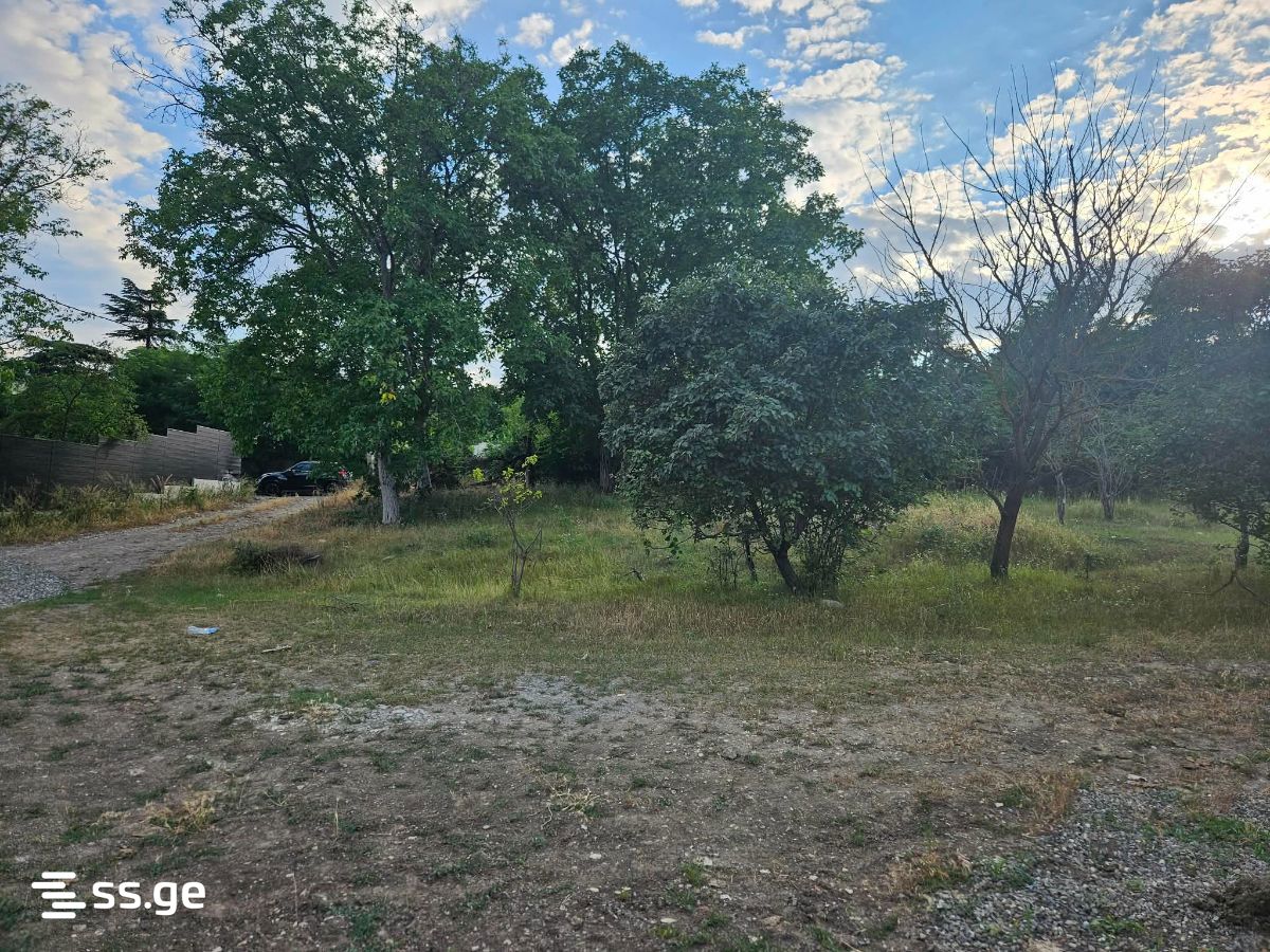 Land For Sale. Natakhtari view 8