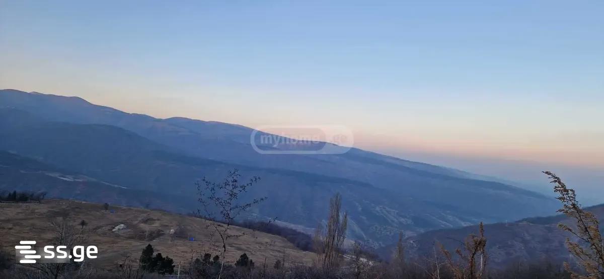 იყიდება მიწა ბეტანიაში view 2