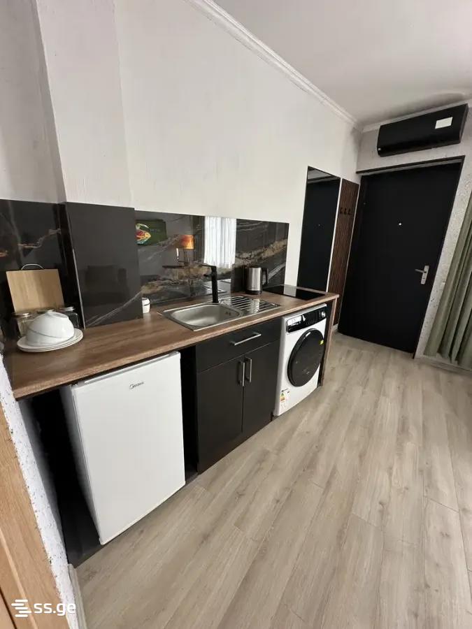 1 Room Private House For Rent. Nadzaladevi view 2
