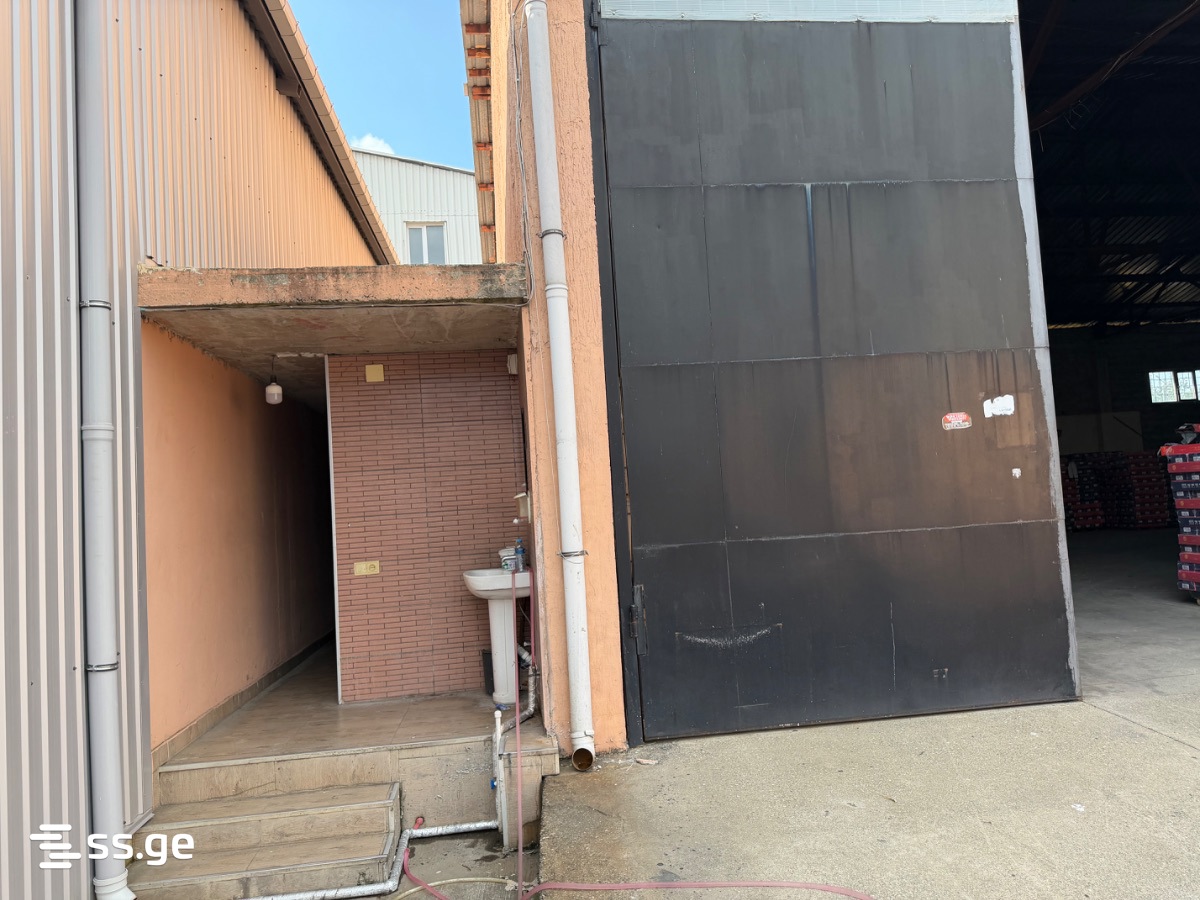 Store-Industrial Property For Rent. Batumi view 5