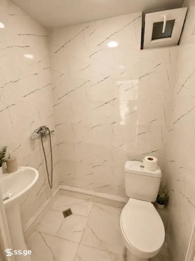 1 Room Private House For Rent. Nadzaladevi view 3