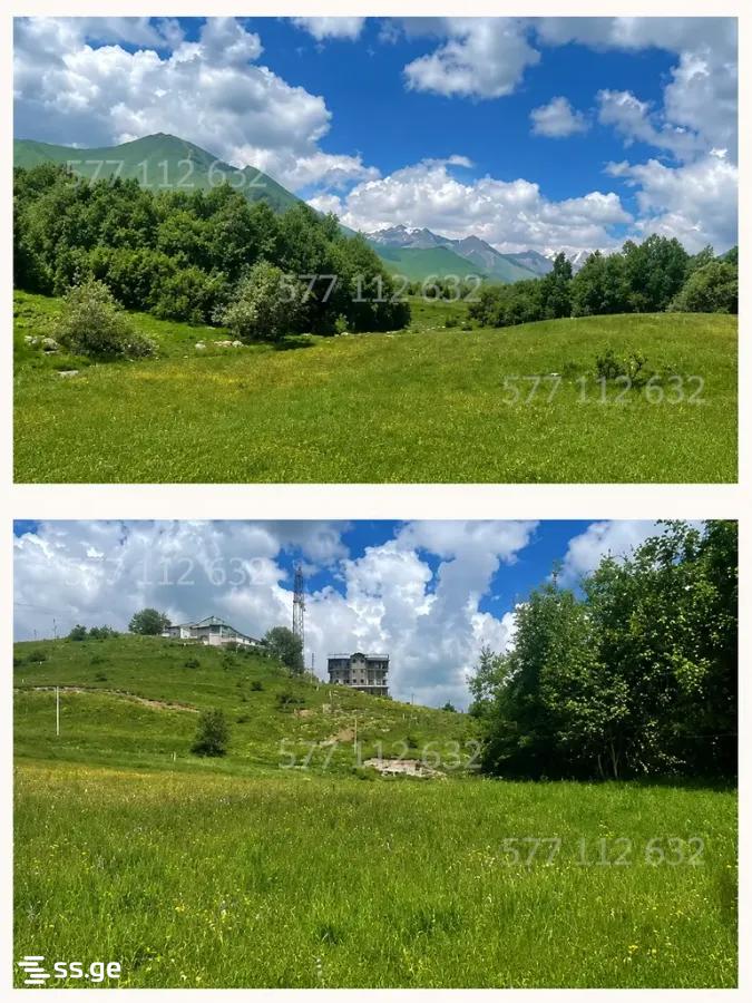 Land For Sale. Gudauri view 3
