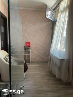 3 Room Private House For Rent. Nadzaladevi view 4