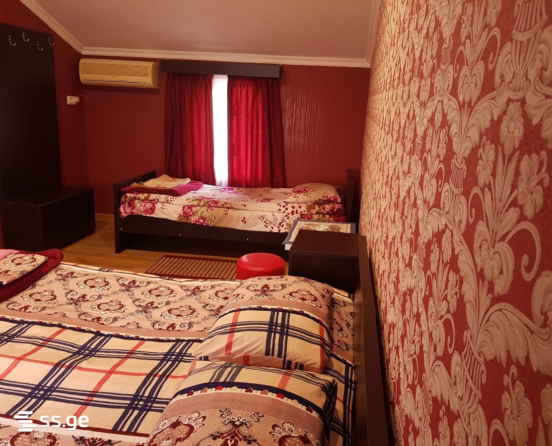 1 Room Flat For Rent. Mtskheta view 6