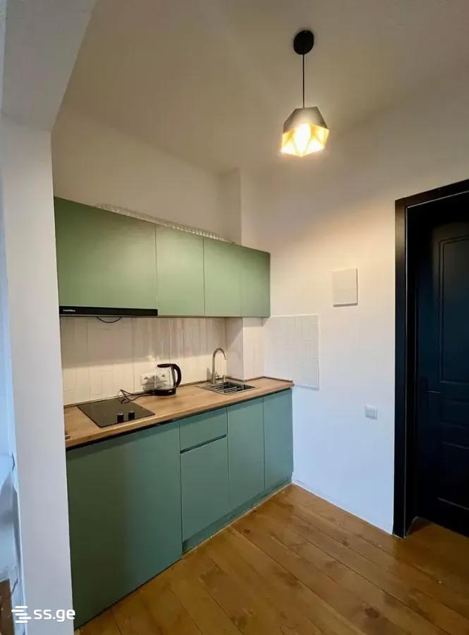 Продажа 1-комната Квартира в Dushetis Munitsipalitetshi view 18