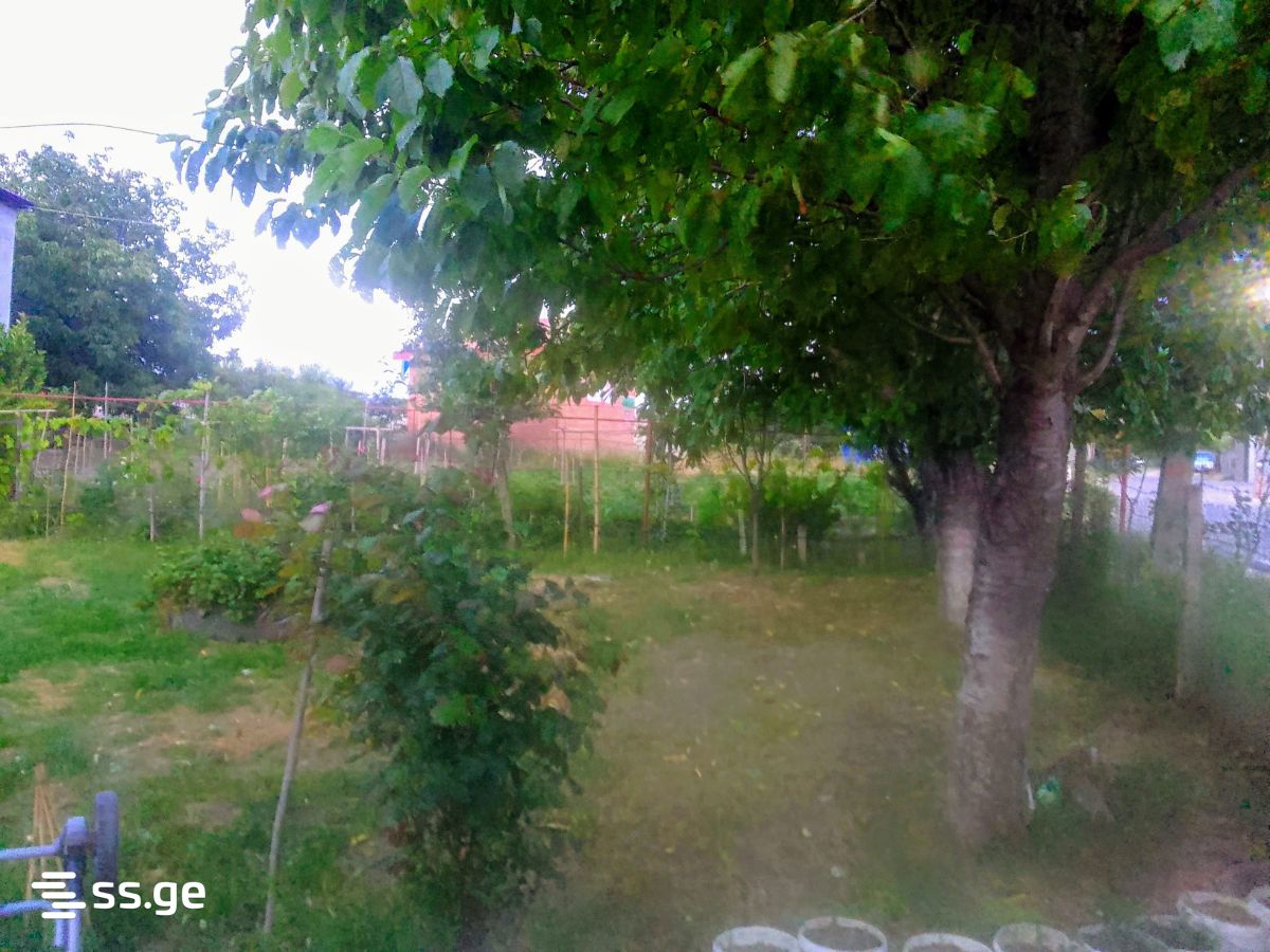 Продажа Summer Cottage в сагурамо view 7