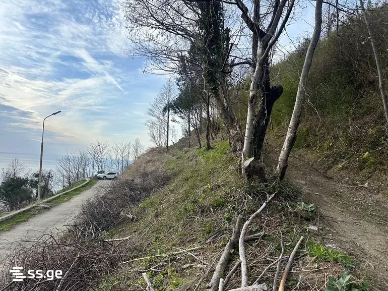 Land For Sale. Gonio view 6