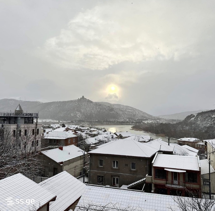 1 Room Flat For Rent. Mtskheta view 3