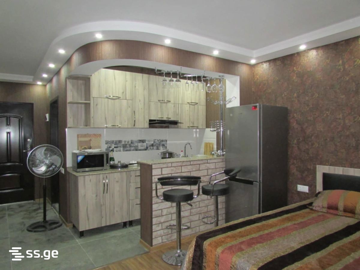1 Room Flat Daily Rent. Batumi view 1