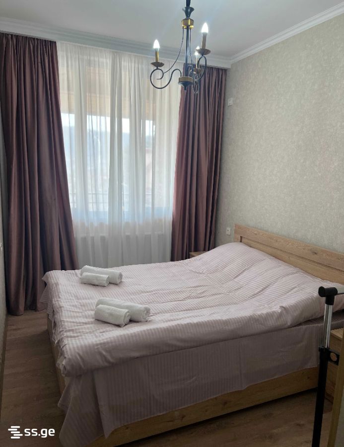 6 Room Private House For Rent. Mtskheta view 3