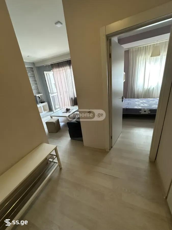 2 Room Flat For Rent. Mesame Masivi view 4