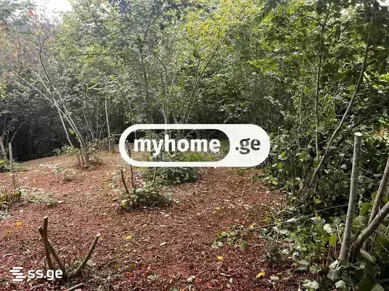 Land For Sale. Tsikhisdziri view 3