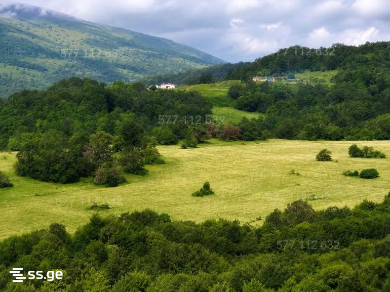 Land For Sale. Gudauri view 2