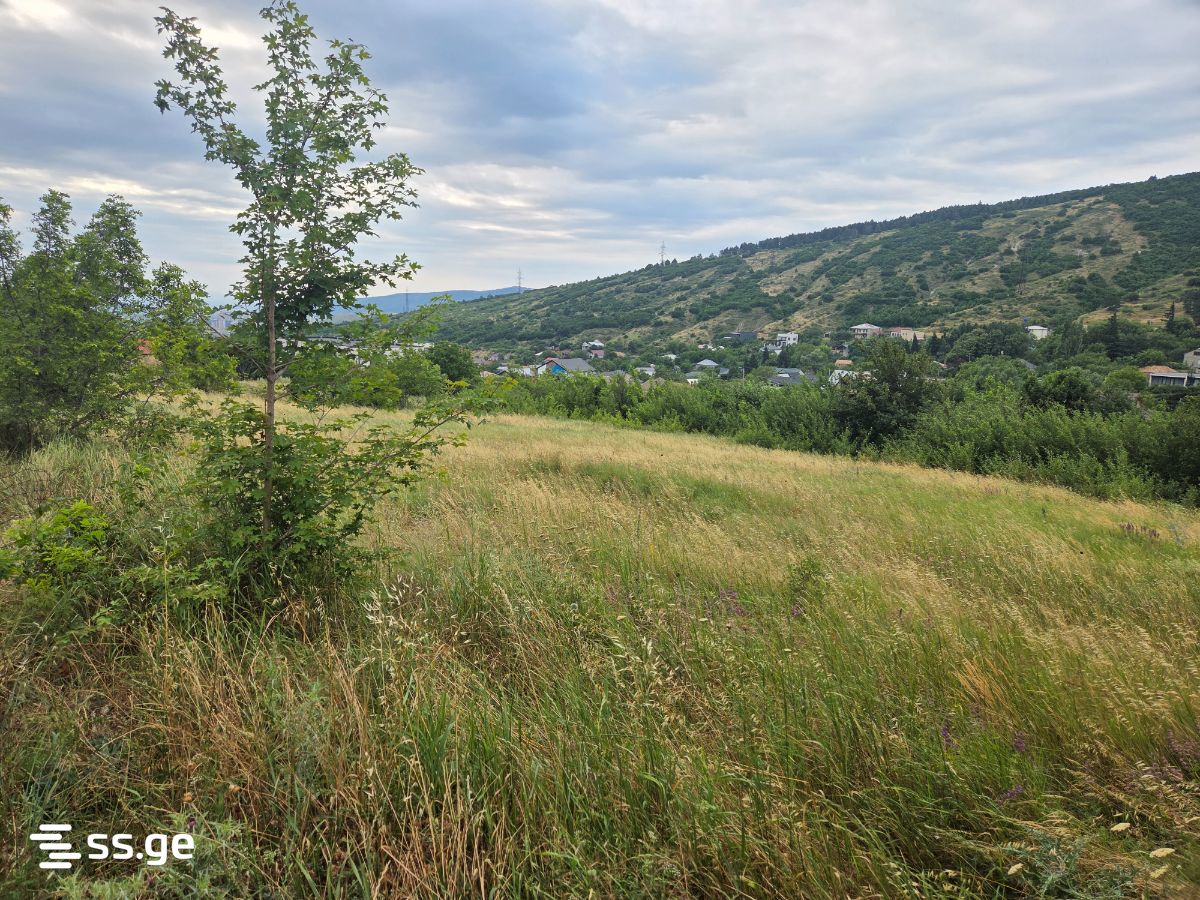 Land For Sale. Tsodoreti view 3