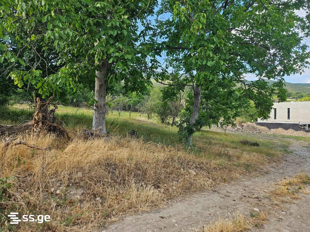 Land For Sale. Natakhtari view 6