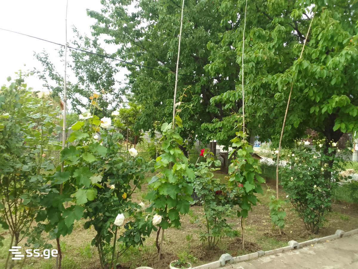 Продажа Summer Cottage в сагурамо view 3