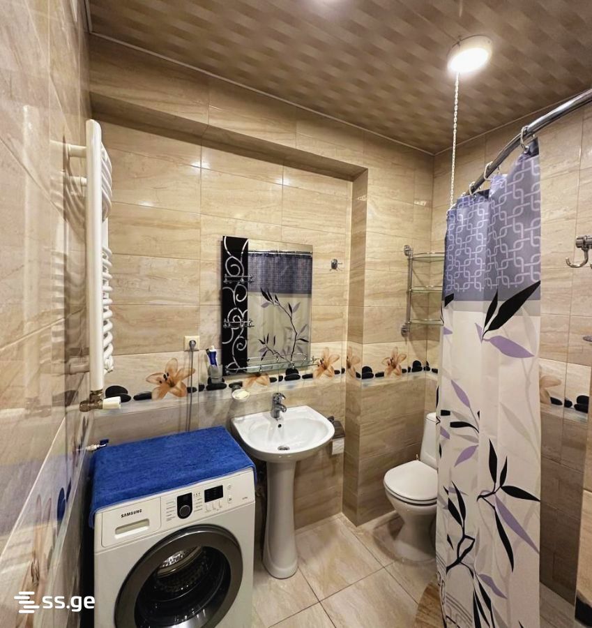 2 Room Flat For Rent. Batumi view 13