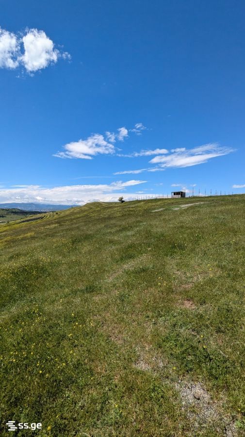 Land For Sale. Tbilisi Sea view 6