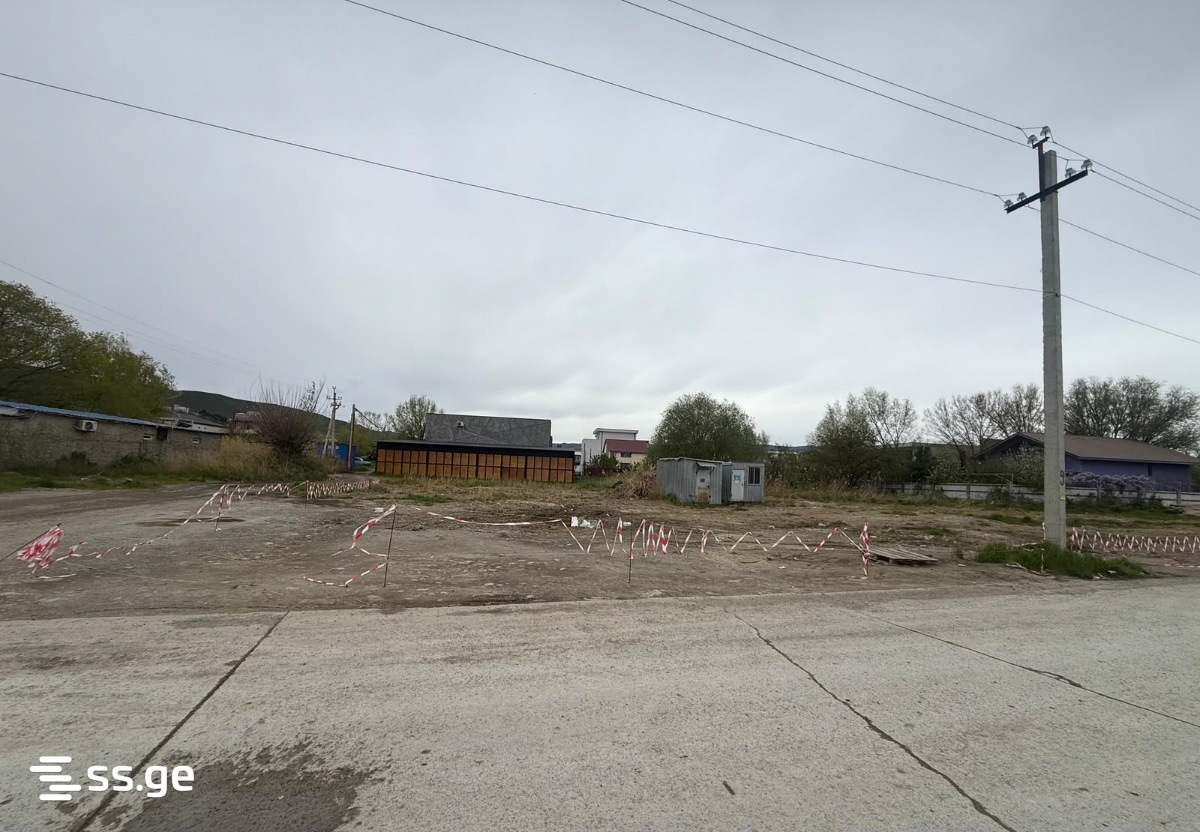Land For Sale. Didi digomi - Widok 5