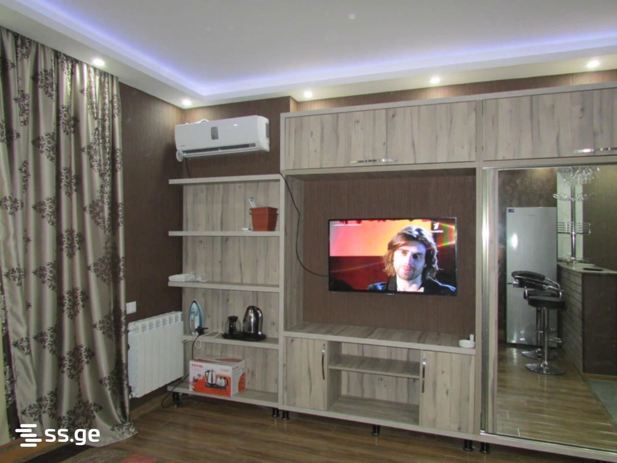 1 Room Flat Daily Rent. Batumi view 8
