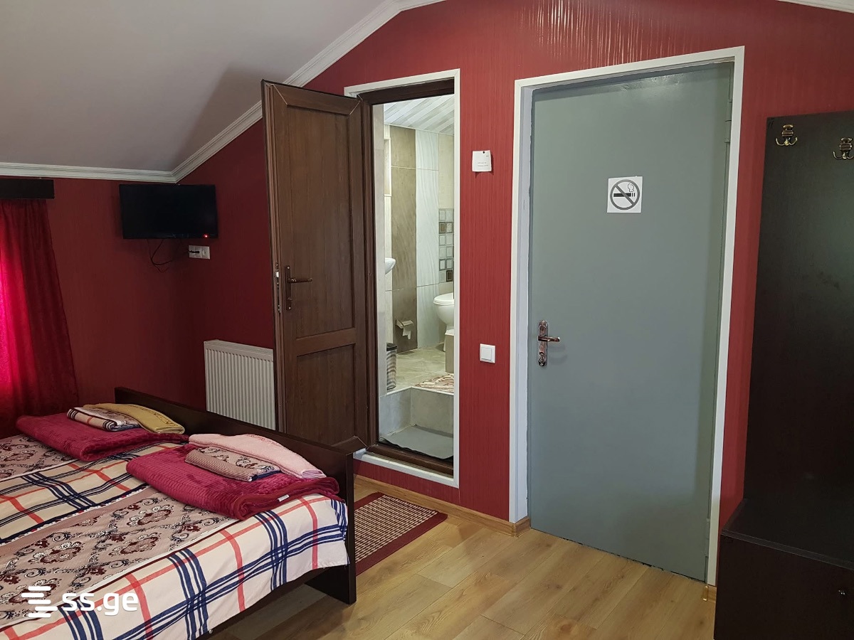 1 Room Flat For Rent. Mtskheta view 2
